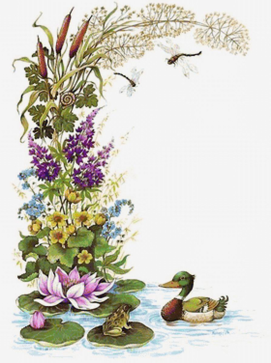 цветы и утка - предпросмотр