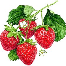 Схема вышивки «№1874179»