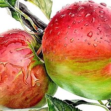 Схема вышивки «№1874237»