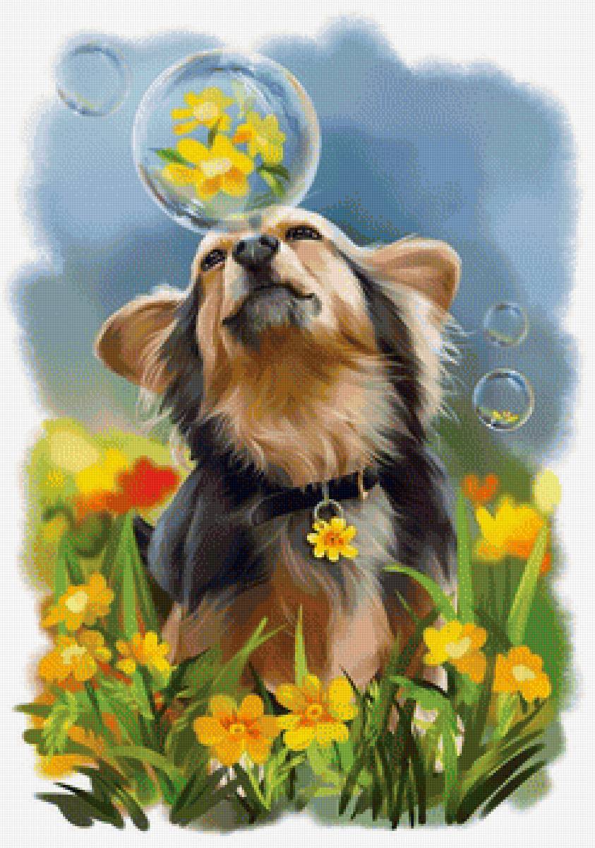 Собачка и мыльные пузыри - собака, питомец, рисунок, цветы, друг, животные - предпросмотр