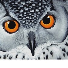 Схема вышивки «№1874406»