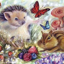 Схема вышивки «рисунок»