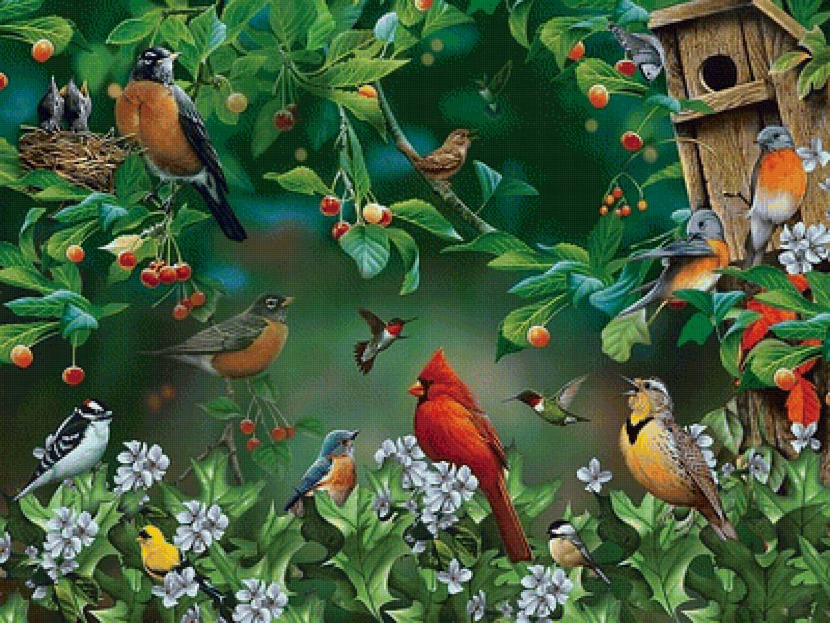 Птички - птички, цвет, птицы, рисунок, весна, цветение - предпросмотр