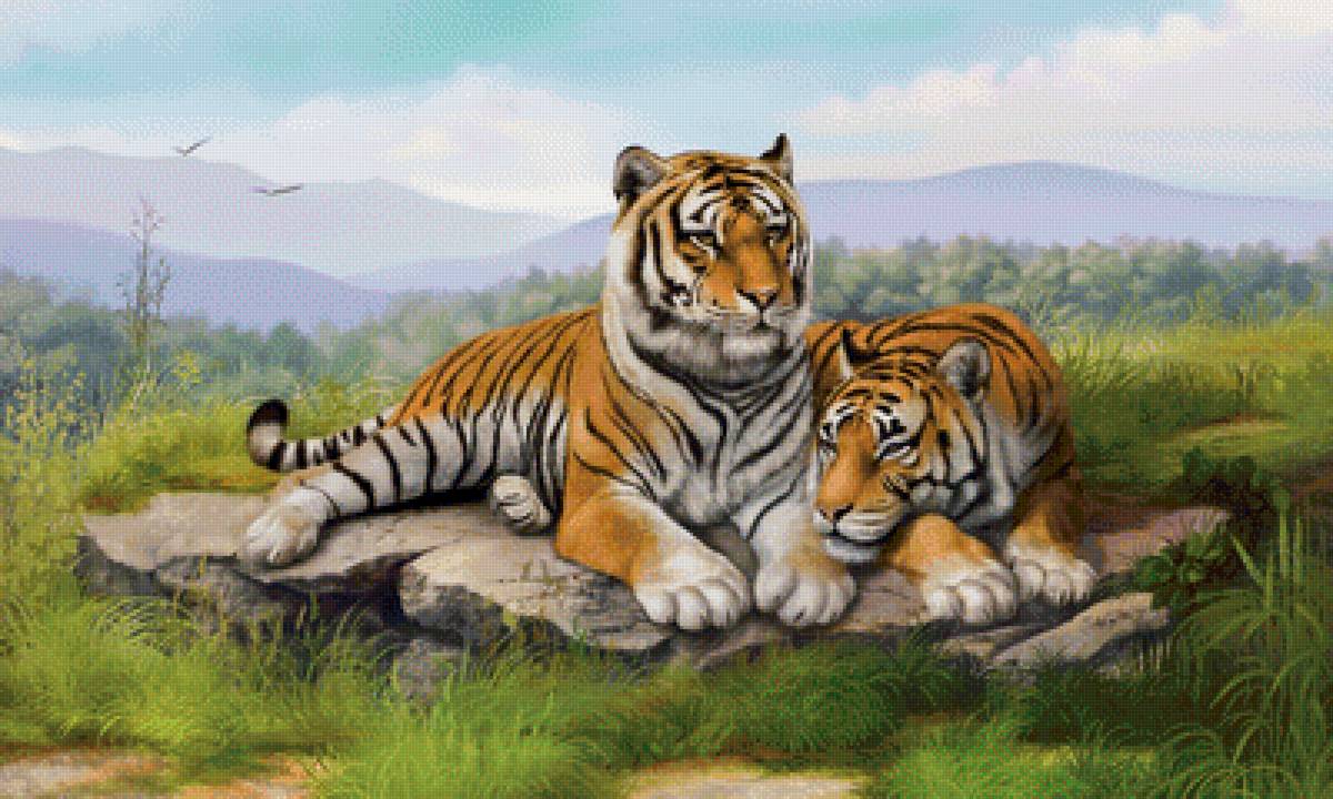 Тигры - рисунок, животные, тигр, природа, тигры - предпросмотр