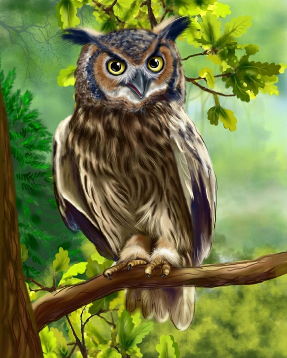 Сова на ветке - рисунок, ветка, сова, природа, дерево, птичка, дуб, птица - оригинал