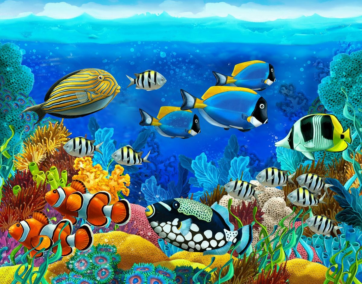 Подводный мир - рыбы, море, кораллы, подводный мир - оригинал