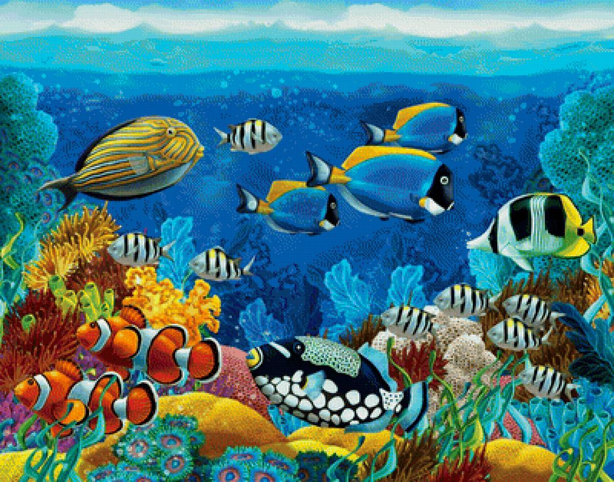 Подводный мир - подводный мир, рыбы, море, кораллы - предпросмотр