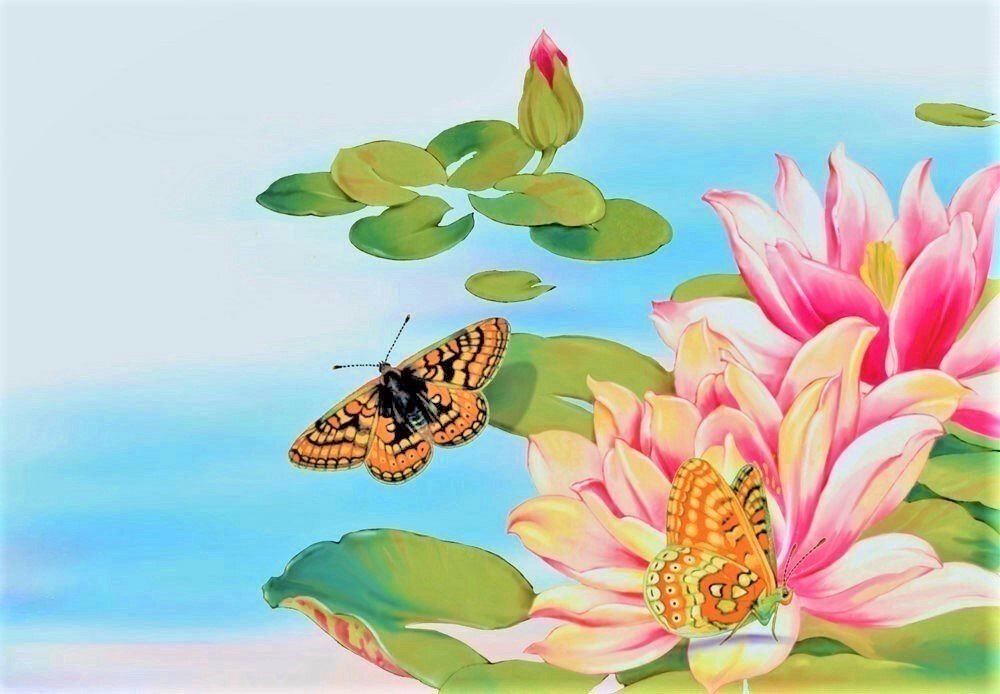 №1875564 - бабочки, цветы, лето - оригинал