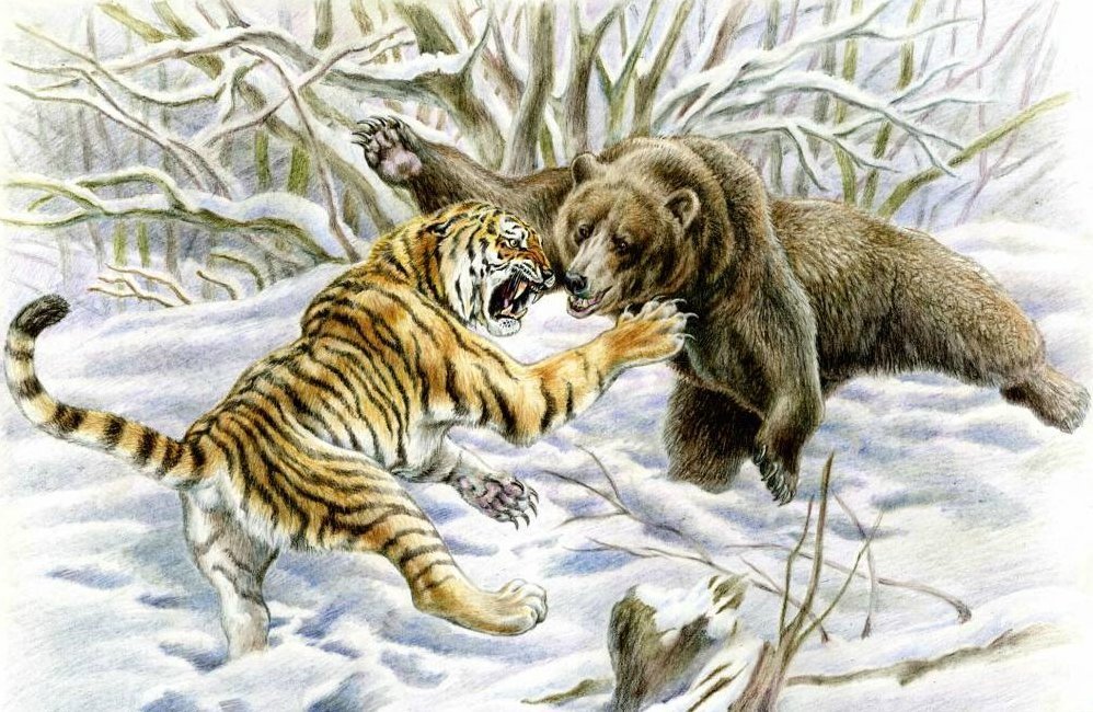 Встреча - звери, животные - оригинал