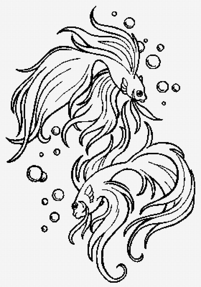 Рыбки - рыбки - предпросмотр