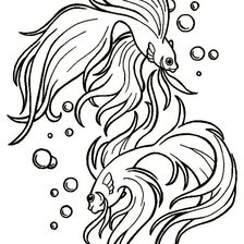 Схема вышивки «Рыбки»