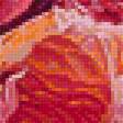 Предпросмотр схемы вышивки «Грейпфрут» (№1875624)