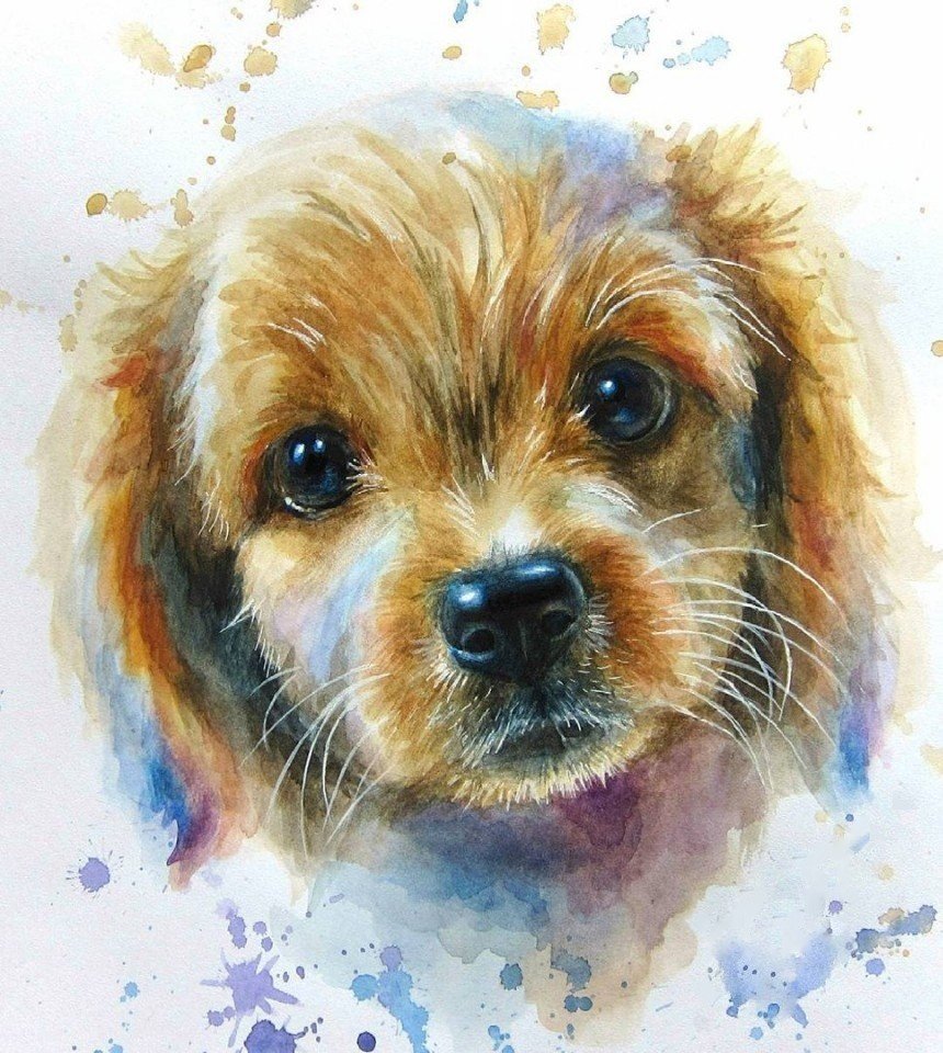 Щенок - собака, рисунок, животные, щенок - оригинал