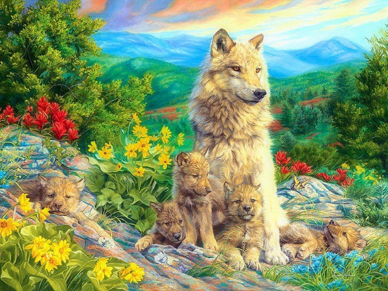 Семейство волков - рисунок, животные, горы, цветы, волк, лес, природа, волки - оригинал