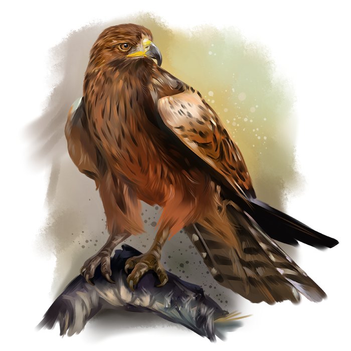 Орёл - рисунок, орел, птица - оригинал