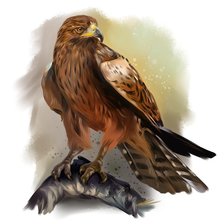 Схема вышивки «Орёл»