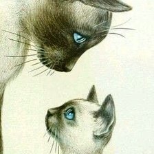 Схема вышивки «нежность»