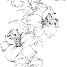 Схема вышивки «рисунок»