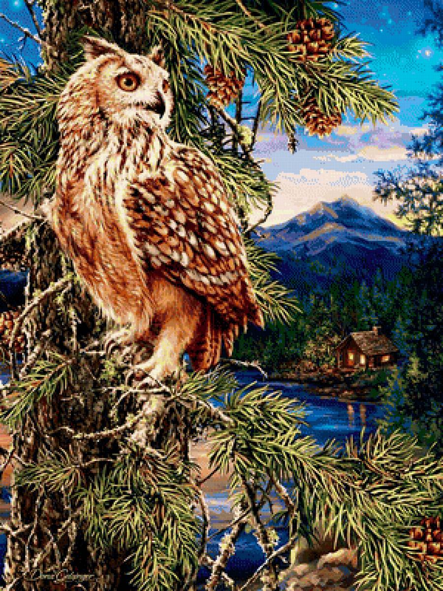 Сова - горы, вечер, птица, сосна, лес, домик, дом, сова, картина - предпросмотр