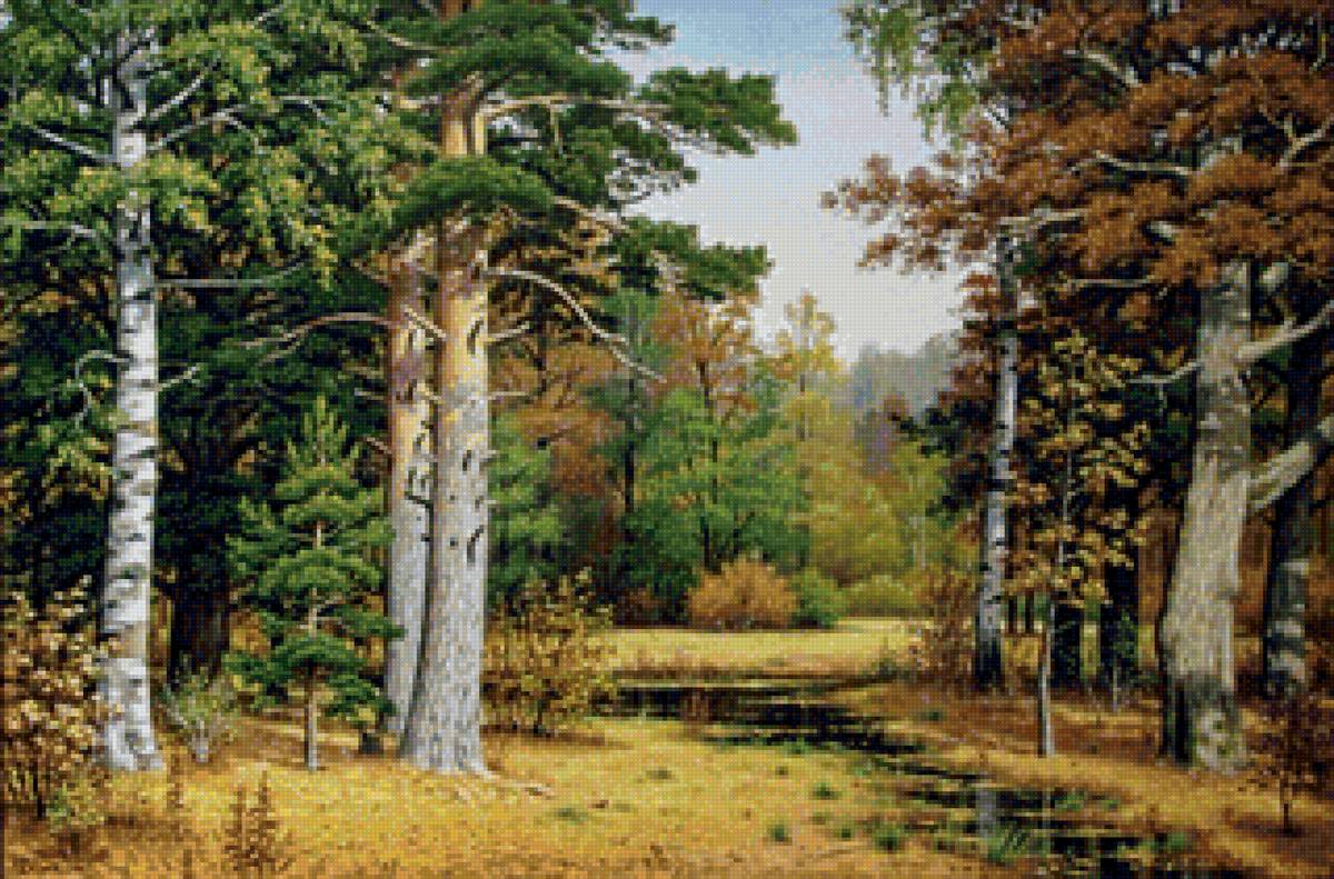 Осенний пейзаж - природа, сосны, лес - предпросмотр