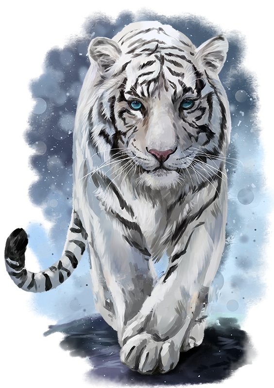 Белый тигр - тигр, животные, рисунок - оригинал