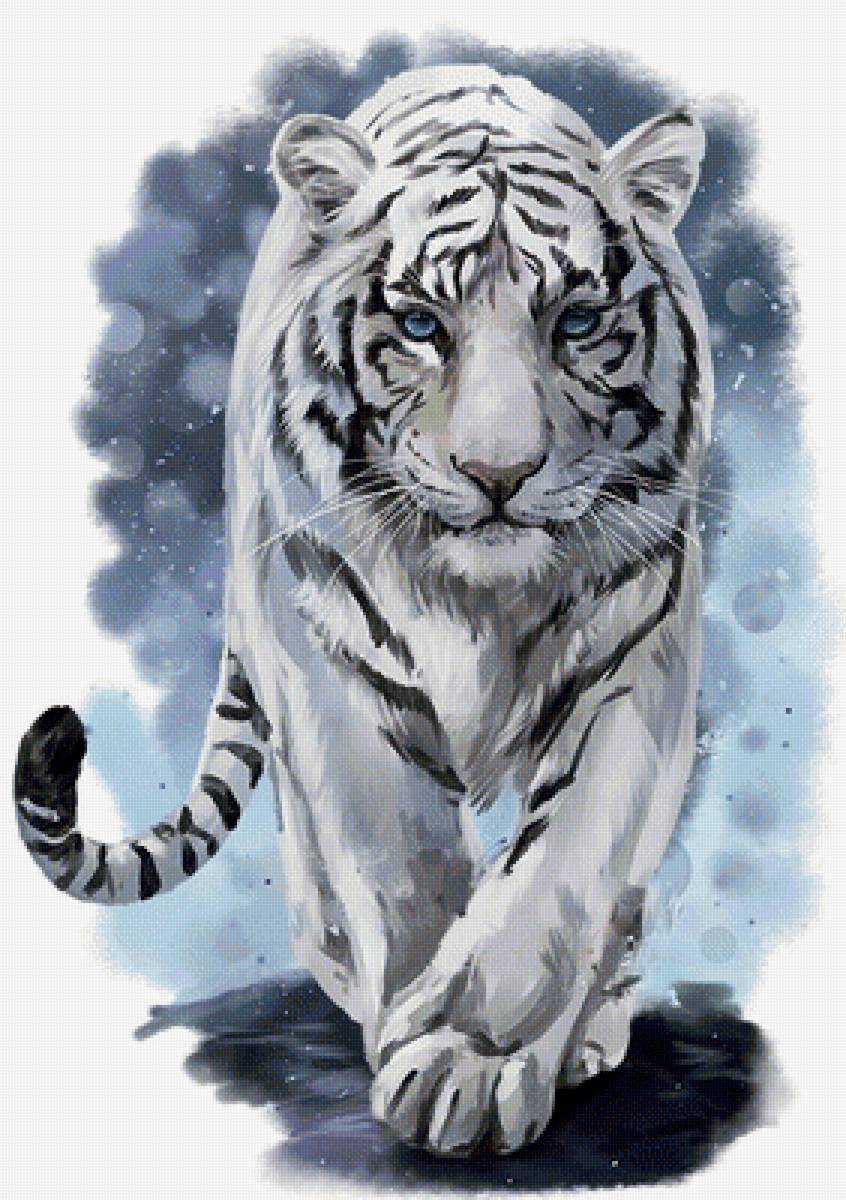 Белый тигр - тигр, животные, рисунок - предпросмотр