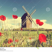 Оригинал схемы вышивки «Мельница в маках» (№1877242)