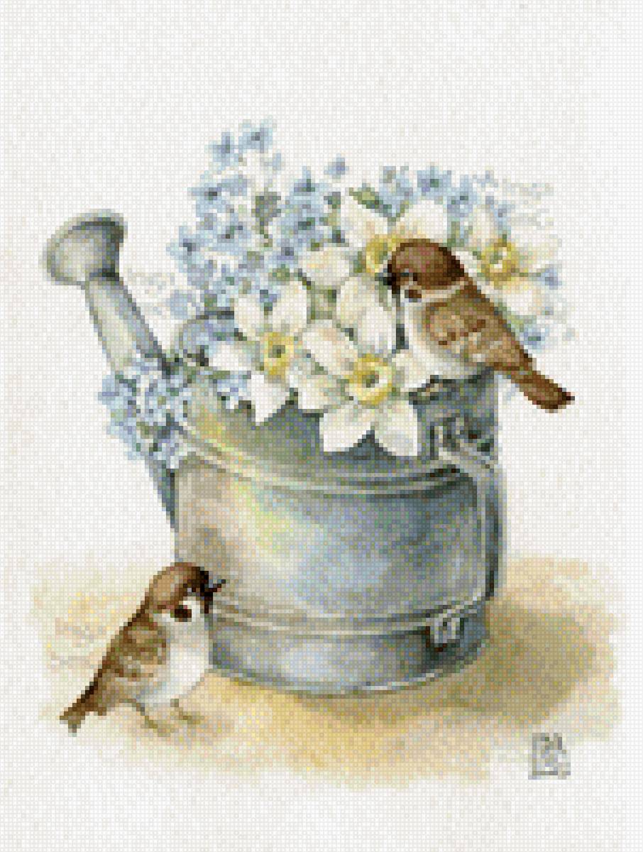 воробушки - нарциссы, воробьи - предпросмотр