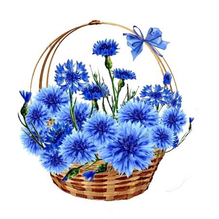 ВАСИЛЬКИ В КОРЗИНКЕ - васильки - оригинал