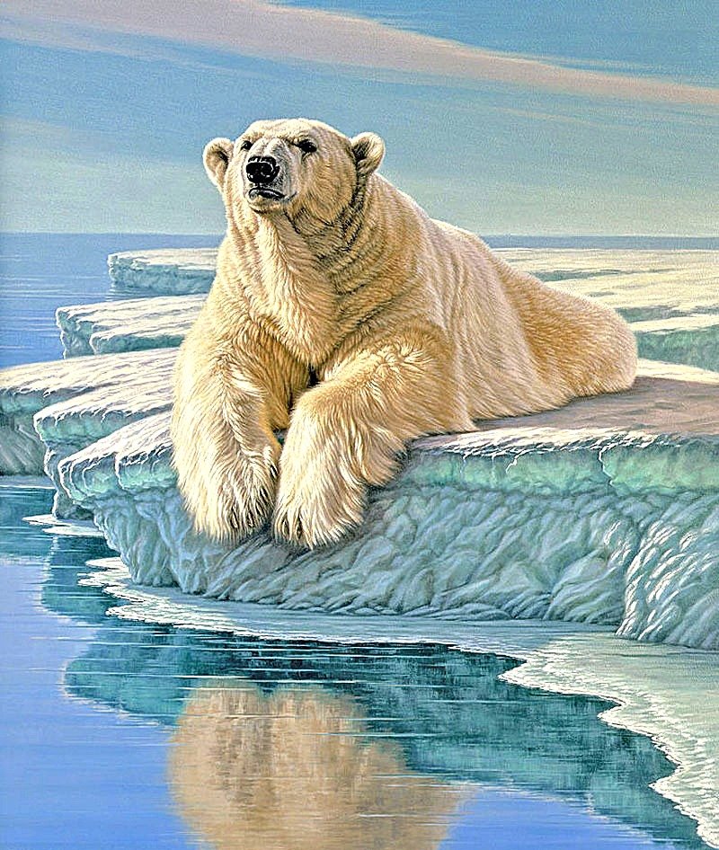 №1878026 - медведи, пейзаж - оригинал