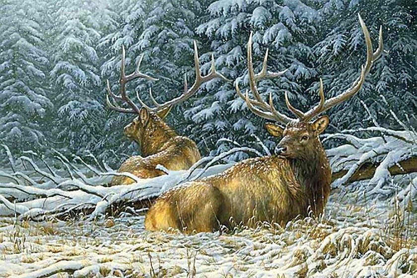 №1878031 - олени, пейзаж - оригинал