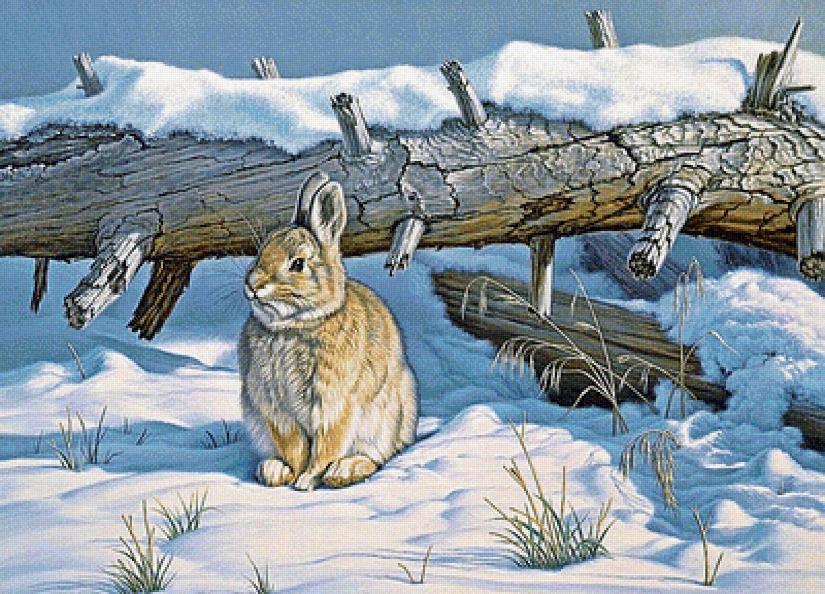 №1878033 - зайцы, пейзаж - предпросмотр