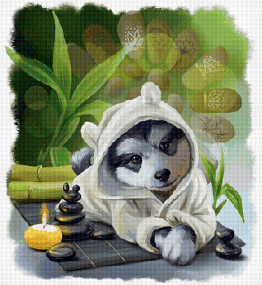 Спа - собака, спа, камешки, рисунок, свеча, собачка, животные - предпросмотр