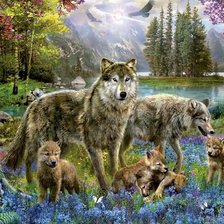 Семейство волков