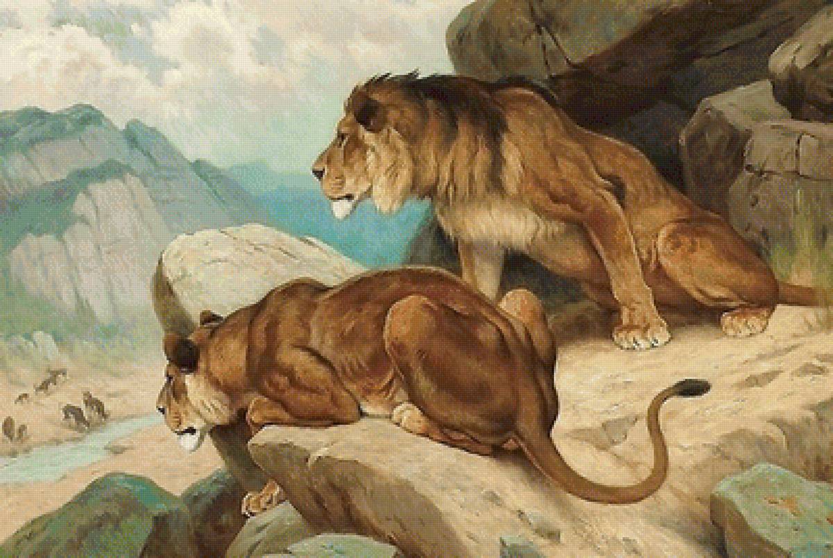 львы на охоте - мир животных - предпросмотр