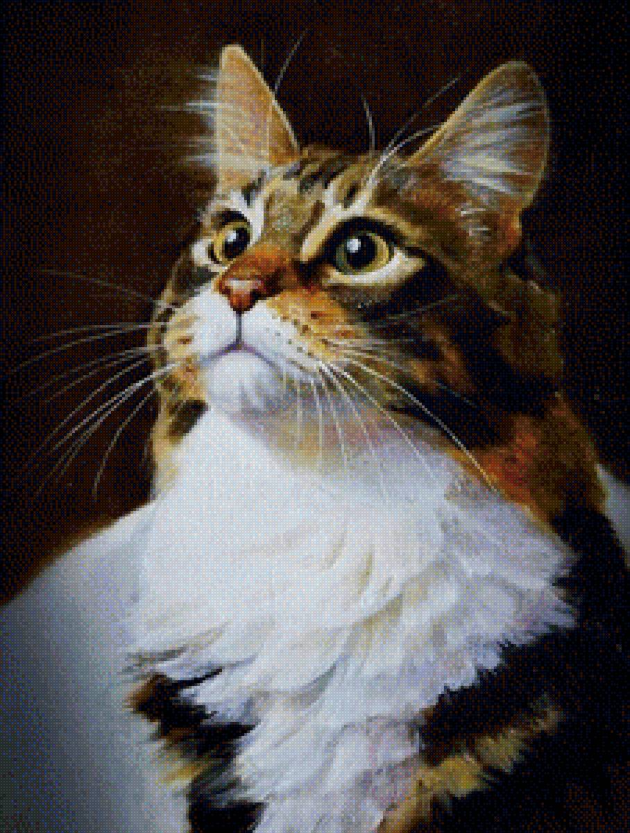 Внимание - кошки - предпросмотр