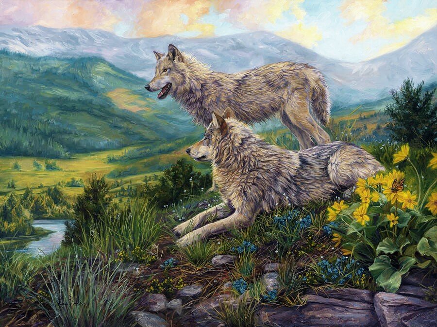 Пара волков - волк, природа, рисунок, животные, горы, волки - оригинал