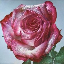 Схема вышивки «№1878409»