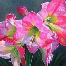 Схема вышивки «№1878411»