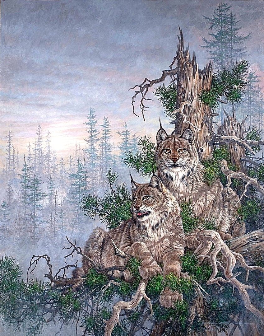 №1878424 - рыси - оригинал