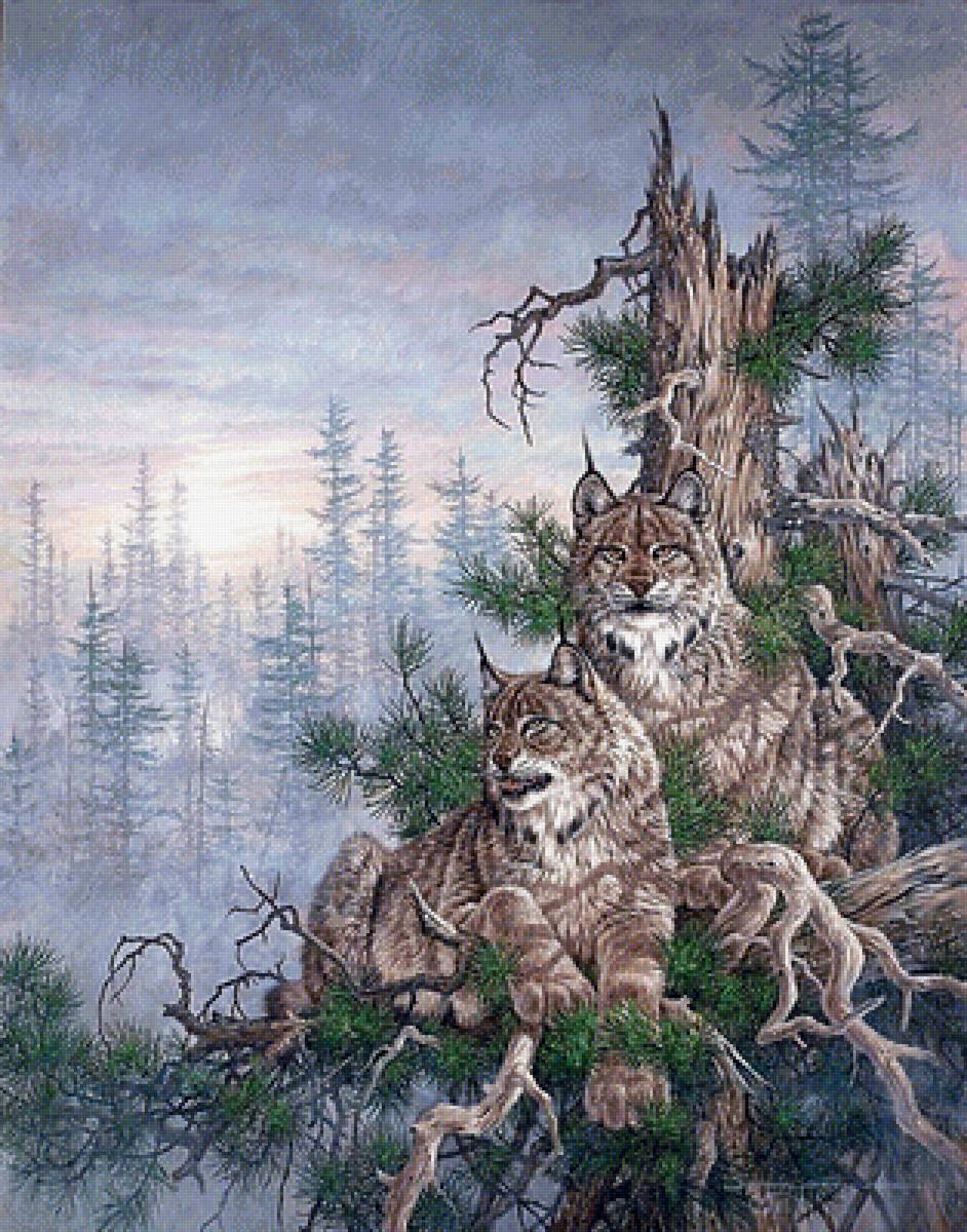 №1878424 - рыси - предпросмотр