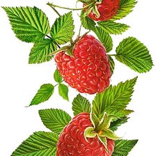 Схема вышивки «№1878729»