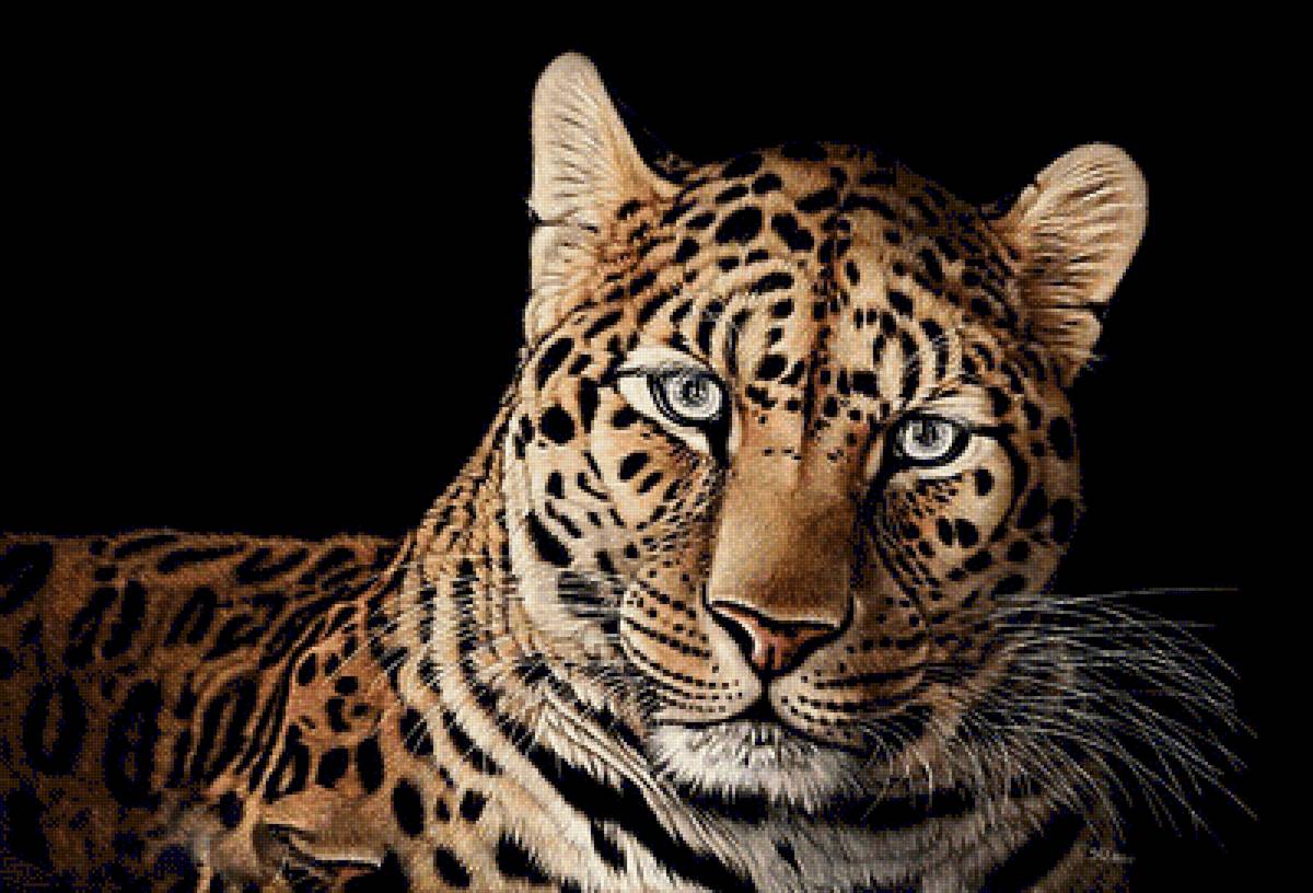 №1878740 - леопард - предпросмотр