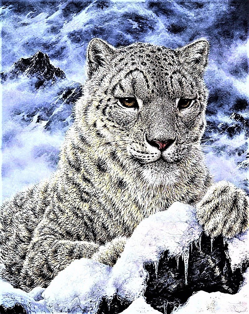 №1878749 - снежный барс - оригинал
