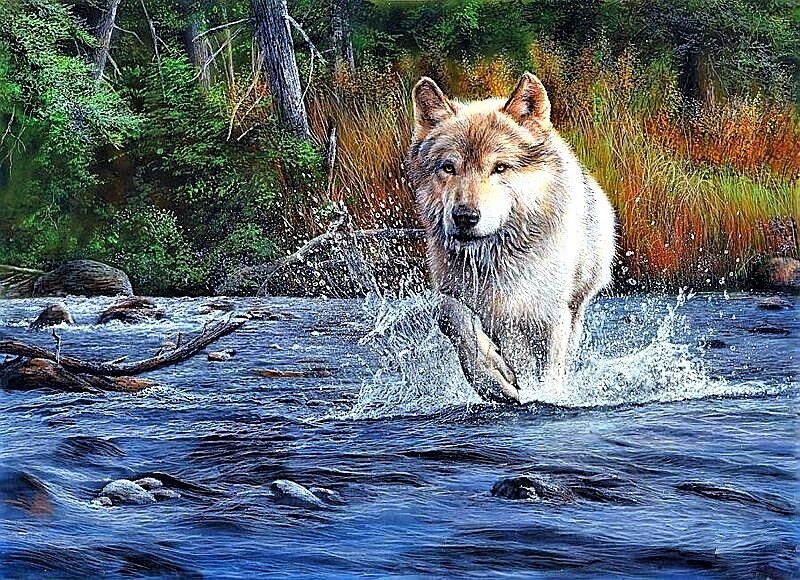 №1878759 - волки - оригинал