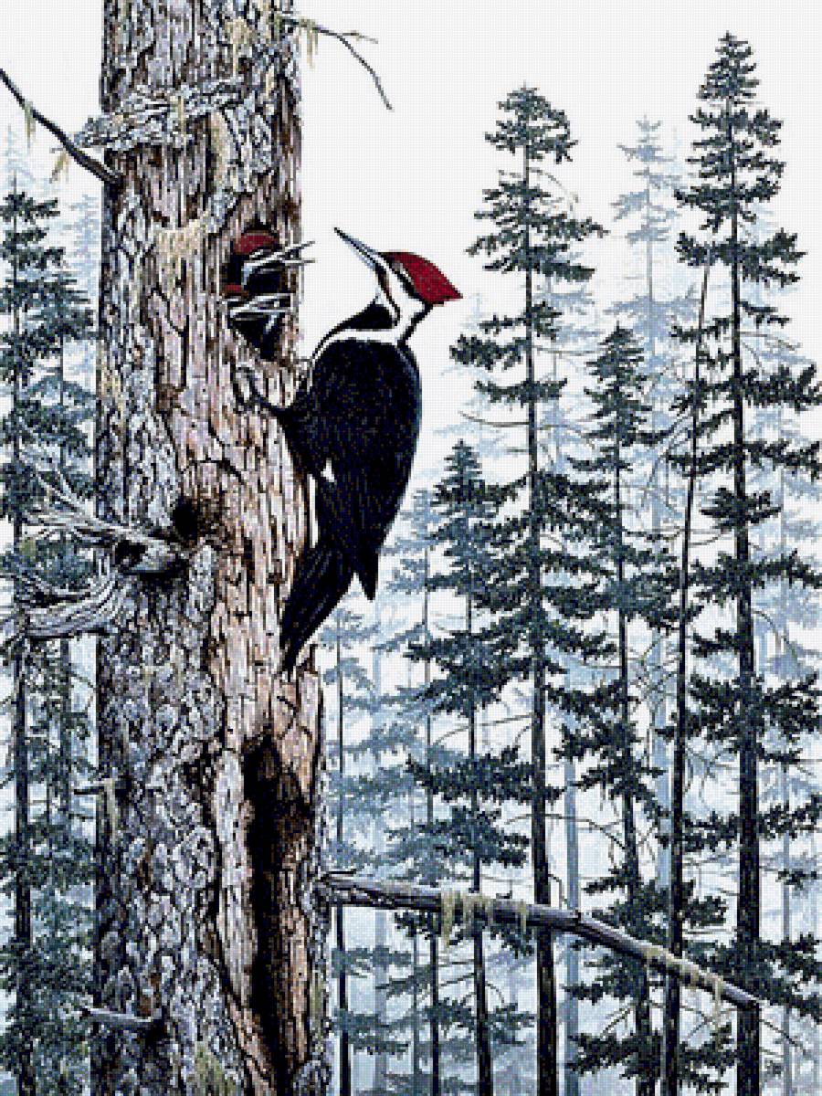 №1878760 - пейзаж, дятлы, птицы - предпросмотр