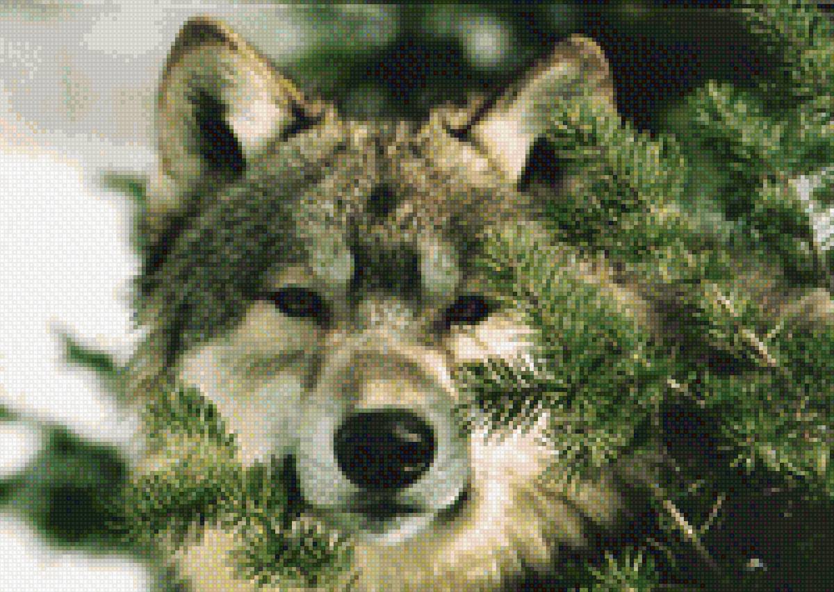 Морда волка в елках 2 - предпросмотр