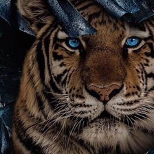 Схема вышивки «Тигр»