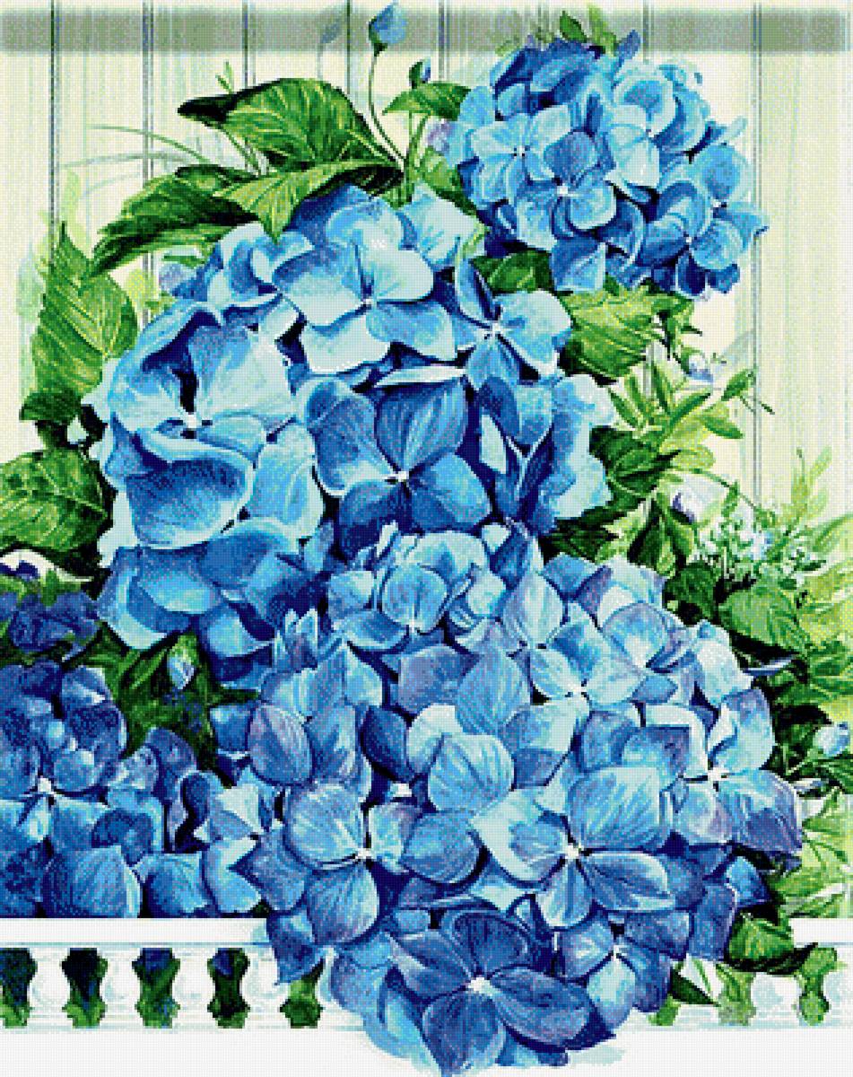 №1879045 - гортензия - предпросмотр