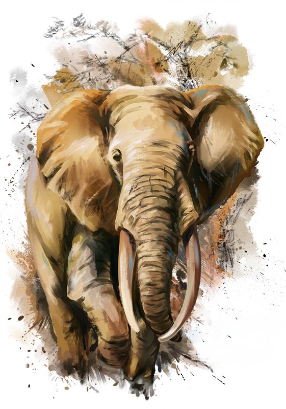 Слон - слон, рисунок, животные - оригинал